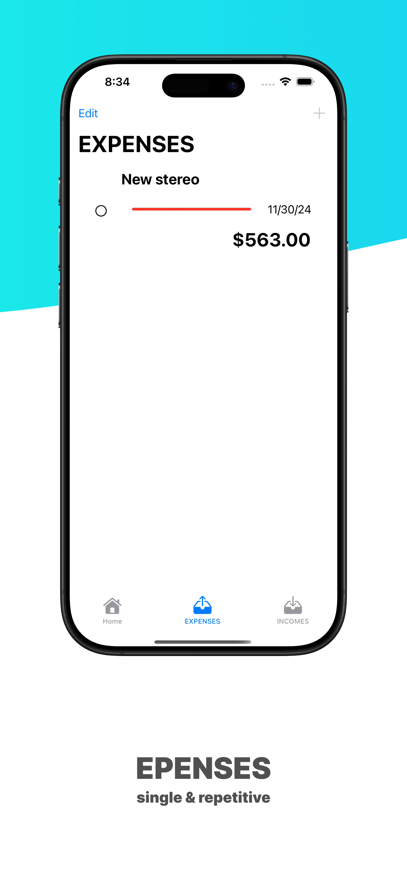expenses mockup